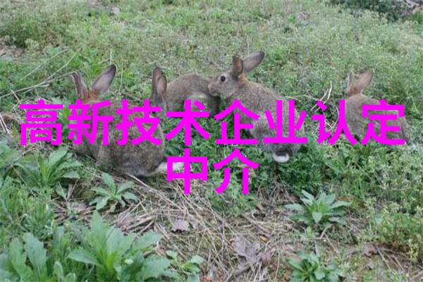 揭秘十大数码神器您的上网体验即将革命化