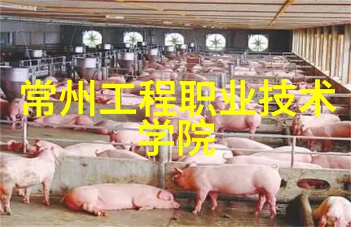 bx500填料参数优化技巧全解