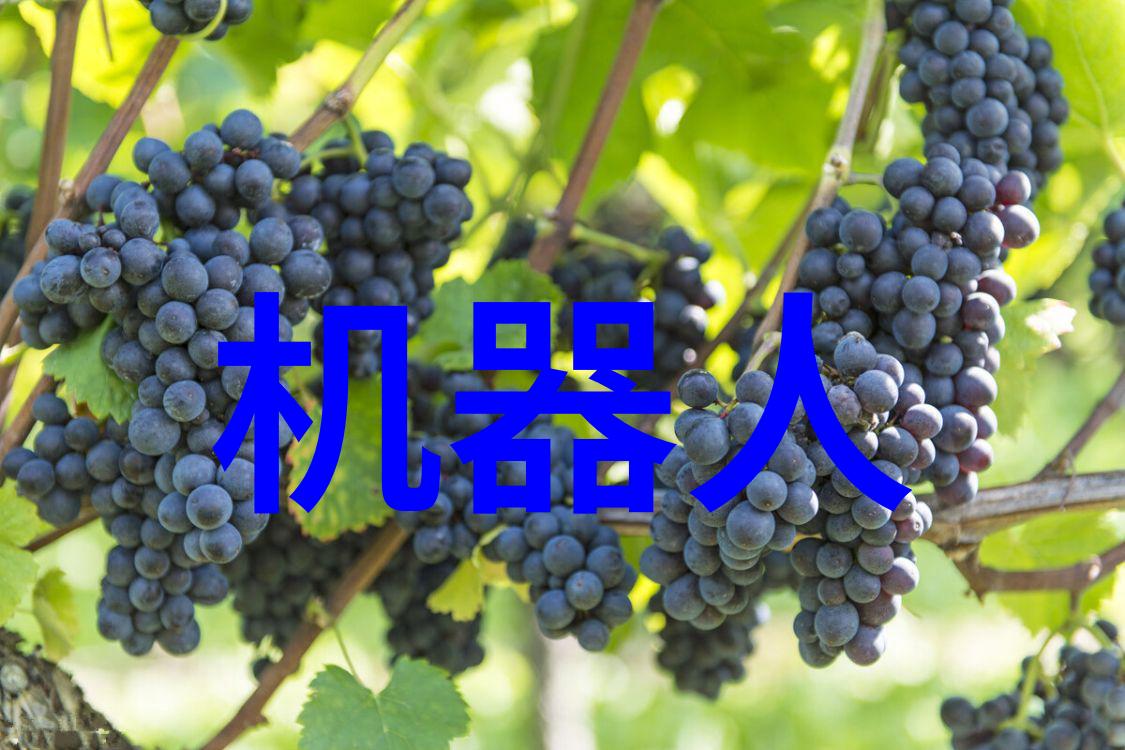附近pe管生产厂家专业制造高品质PE管产品的企业