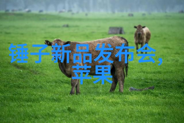 金属宝库不锈钢板材的精妙分类