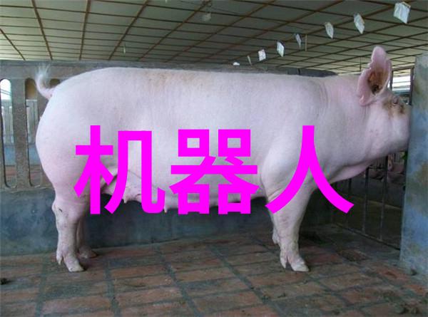 水处理技术-双级反渗透系统高效解决城市供水难题的新途径