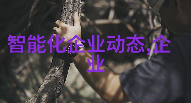 ZKS系列真空加料机 半自动加料机