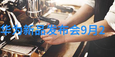 化工卫生阀我的安全守护者