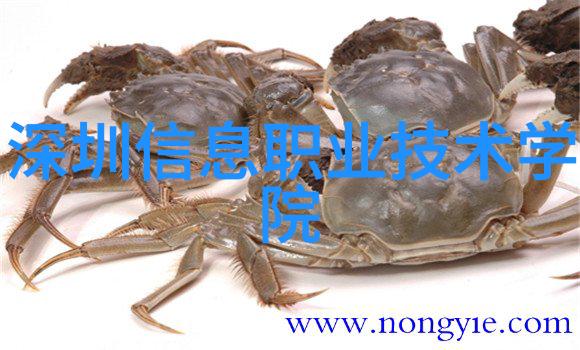 塑料烘干机设备工业生产中的关键技术革新