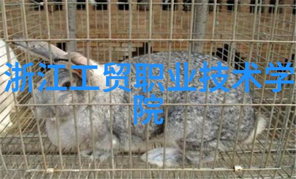 绿色能源的催化者新型光伏发电促进剂的研究与发展