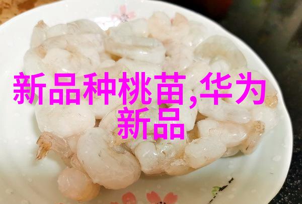 毕业生的就业率如何以及学校对毕业生的就业指导有何措施呢