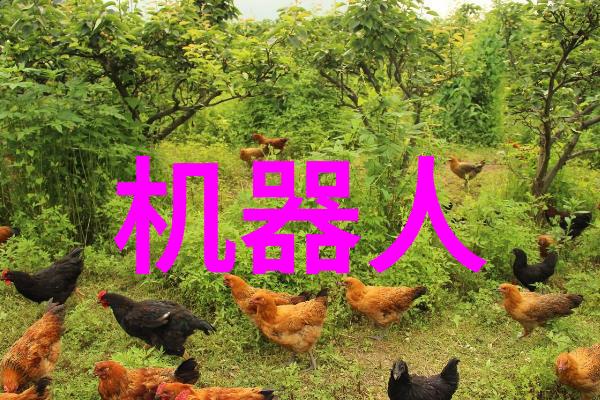 个人检测水质的正确方法