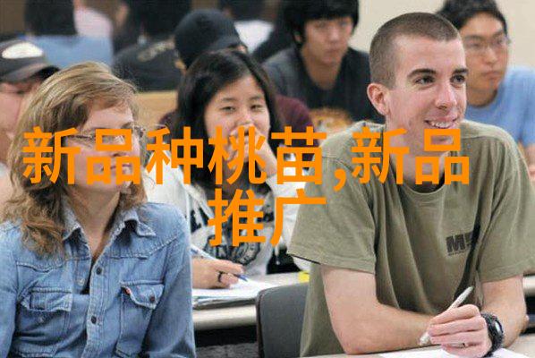 制造企业在实施信息系统时应注意哪些关键要素