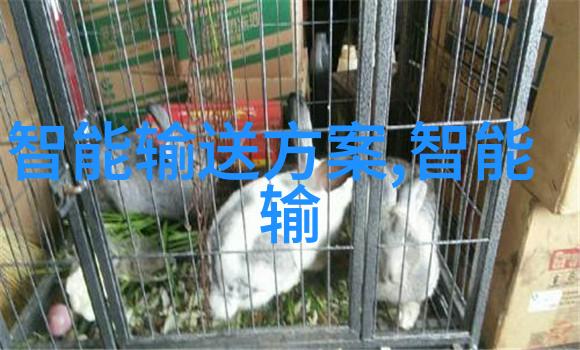 城市水源管道选择与维护的关键因素