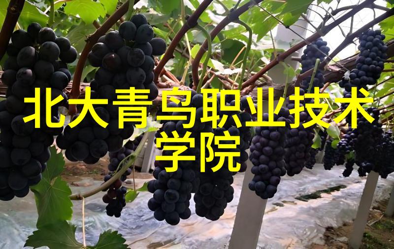 叶渺渺和体育老师的那一节课我眼中的运动会叶渺渺如何让体育老师也学乖了