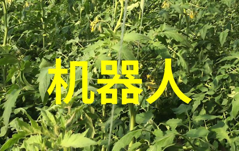 灭菌锅是否属于特种设备的分类标准与应用范围医疗级别灭菌锅