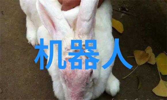 小米与祖辈共度的温馨夜晚