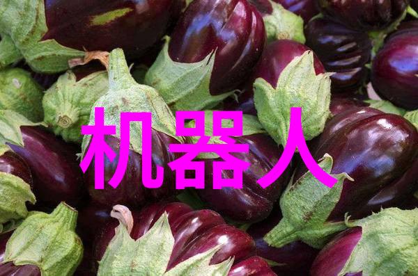 家中清新守护者选择最有效的室内消毒喷雾