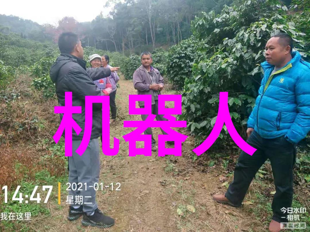 长生剑之传说七种武器中的神秘长生剑