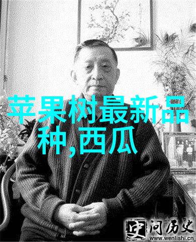 小型医疗机构污水处理设备我来告诉你如何选对心脏的清洁机器