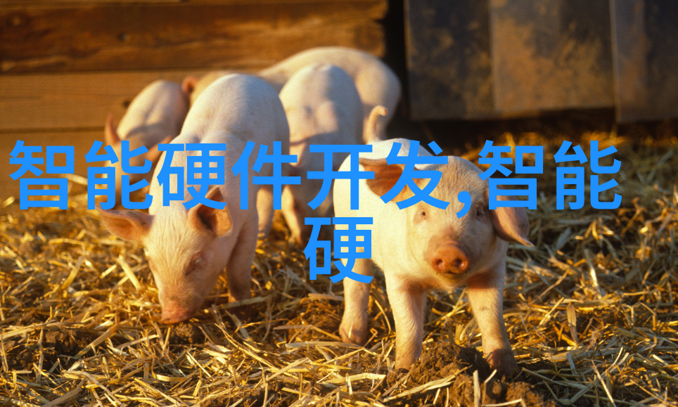 主题我亲历的中国芯片惊天骗局从一线工人到高管背后的秘密游戏