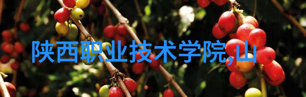 水压与流体动力学影响不同水管尺寸性能的因素