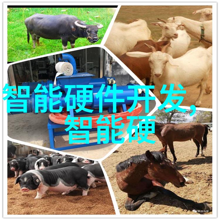 我的邯郸职业技术学院开启未来之门