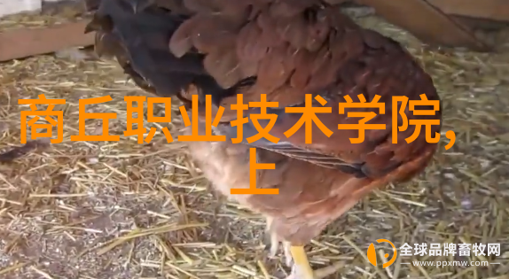 大型污水处理厂设备制造商绿色环保解决方案专家