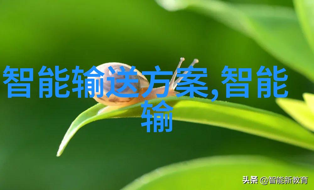 大型纯净水设备公司我是如何在家里安装自来水处理系统的