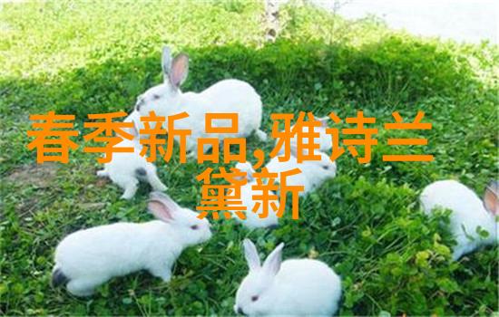 我来帮你整理pe料型号大全揭秘那些让塑料加工更简单的秘密