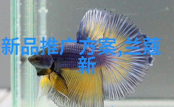 煤泥干燥设备让你的煤块不再湿乎乎的