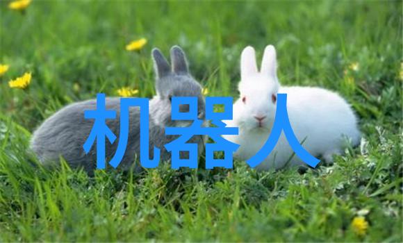实验室反应器化学实验的关键装置与安全操作要点
