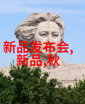 社会中二手房局部装修的常见误区你了解吗