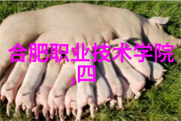 国产智能手表哪个好让我们来一探究竟