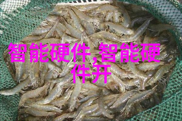 画地为牢txt我是如何用一张纸和一个笔记本变成了自己小世界的主人