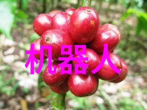智能装备的应用未来世界里的隐形助手