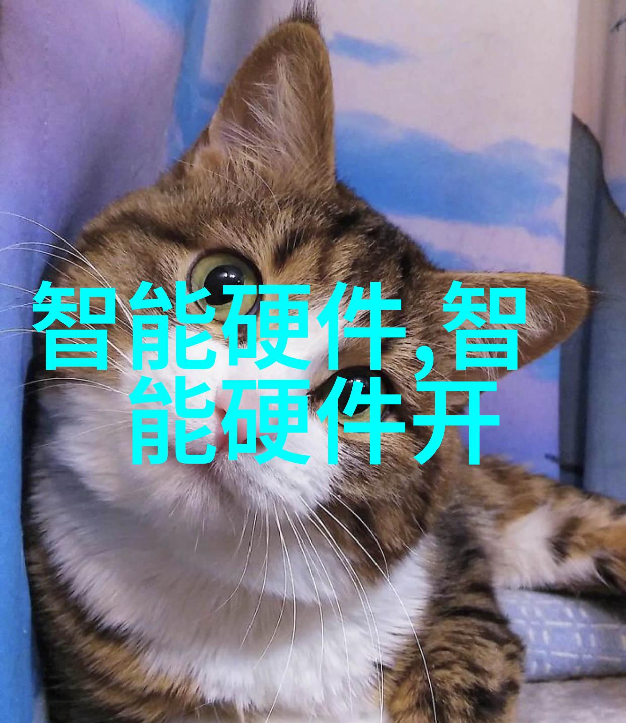 两高报告破新高审计报告赞成率齐飞两高风云变幻