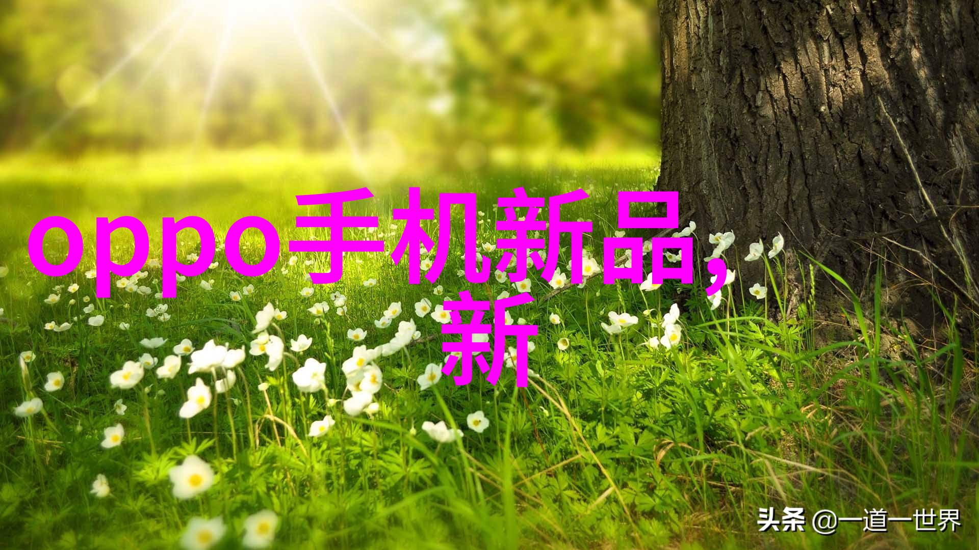 个人在哪申请专利-专利申请之路选择合适的国家和机构