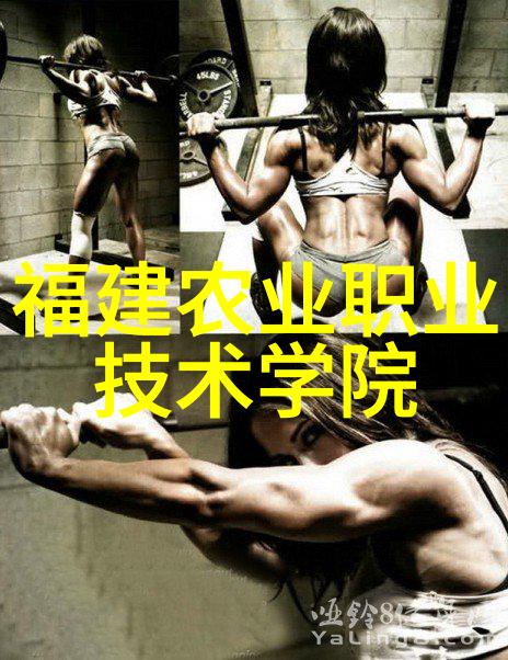 中国财经信息网2024年我国电力消费稳中有升新华财经两新政策让你家灯火依旧