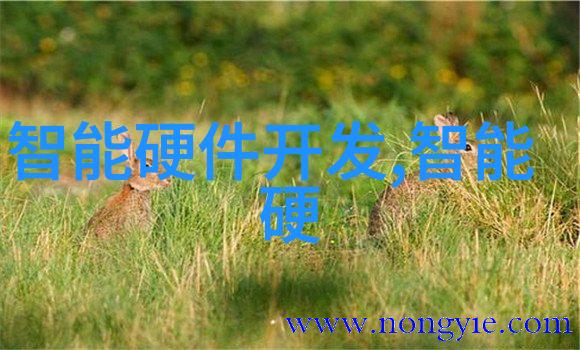 110水管破冰真空脱气罐解锁安全无压的新体验