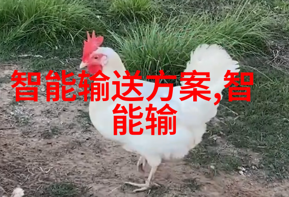 股市行情我的钱包在哪里
