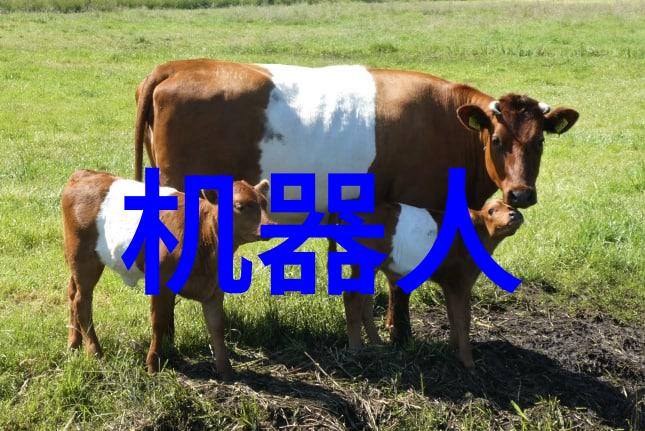 专家推荐三种药物治疗新冠病毒基于临床经验的综合评估与策略