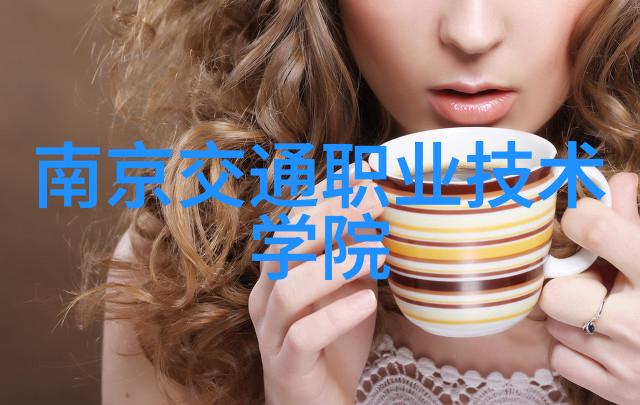投资计划书与可行性研究报告的融合策略与实践的结合