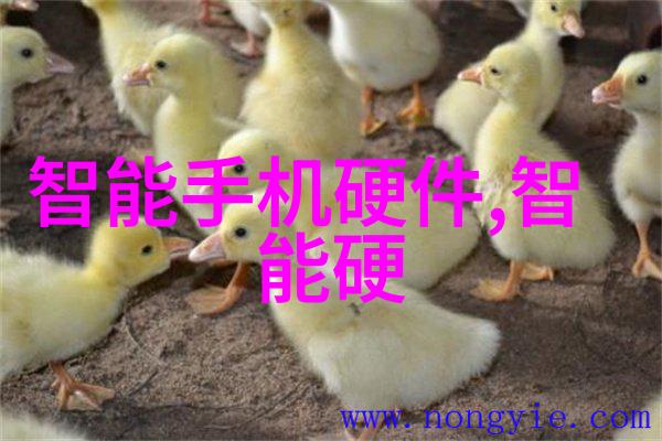 医疗设备-医院净水设备确保清洁与安全的生命线