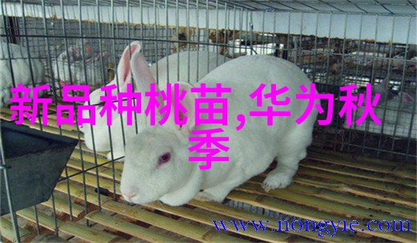 真空冷冻干燥技术的发展与应用概述