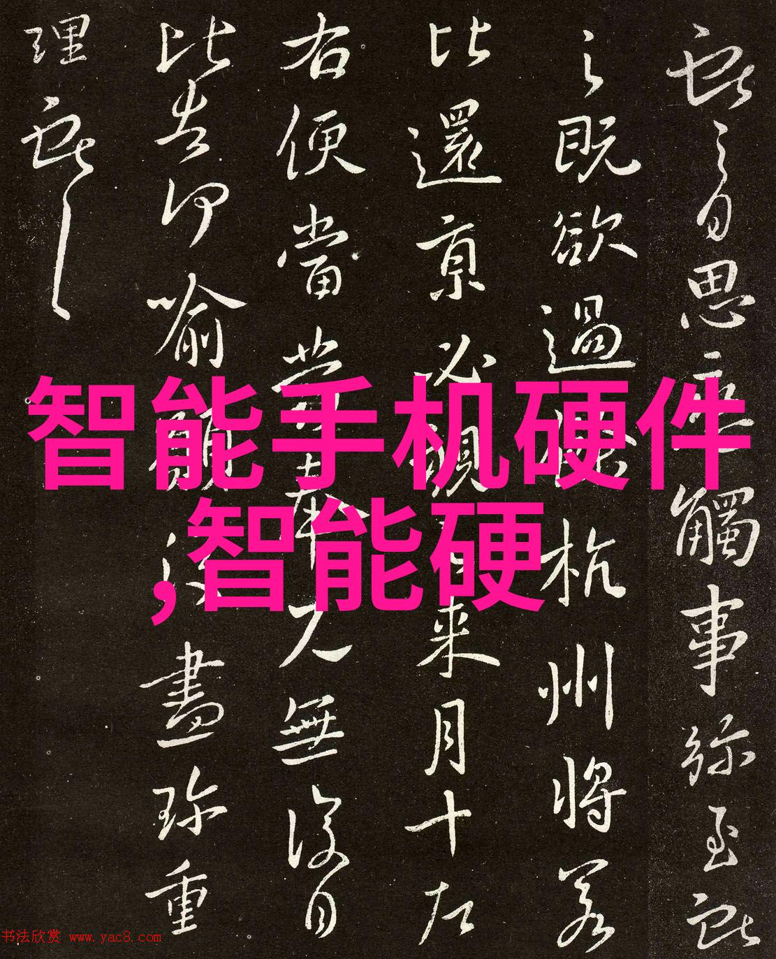 浙江工贸职业技术学院培育行业技能者推动经济发展的重要力量