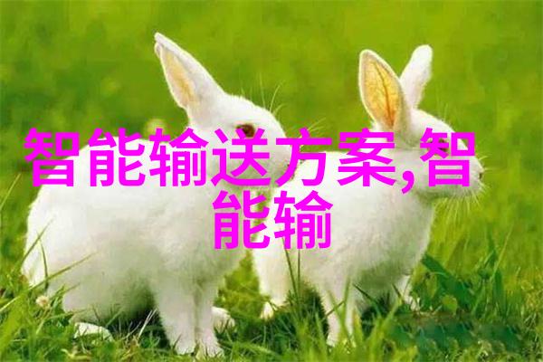 国精产品WK5777我是如何在一款不起眼的电动牙刷上发现生活的小确幸