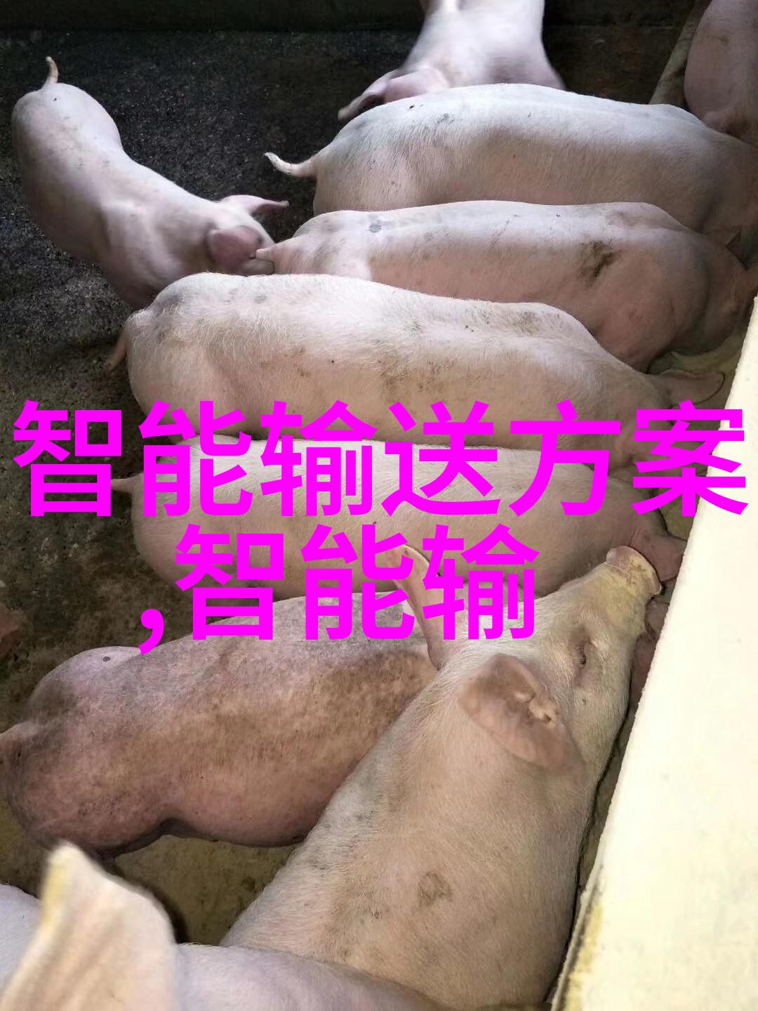 新一代密封件设备技术革新提升工业防护性能与可靠性