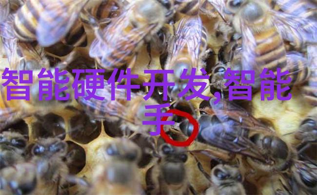 东北财经大学冰雪之城下的财富密码