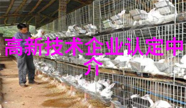 小米芯片引领潮流国内首款大算力存算一体AI芯片闪耀登场