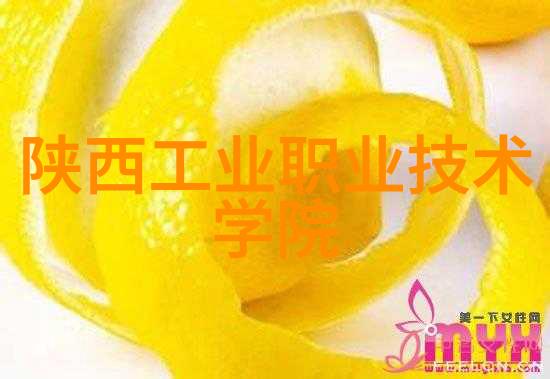废气冷凝器在工业排放治理中的应用与效益