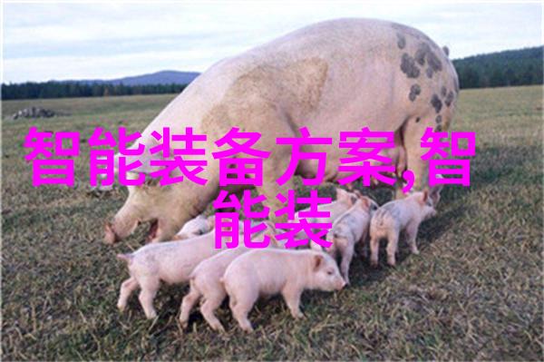 小米澎湃 OS手表正式发售与前代相比最好的智能手表排名