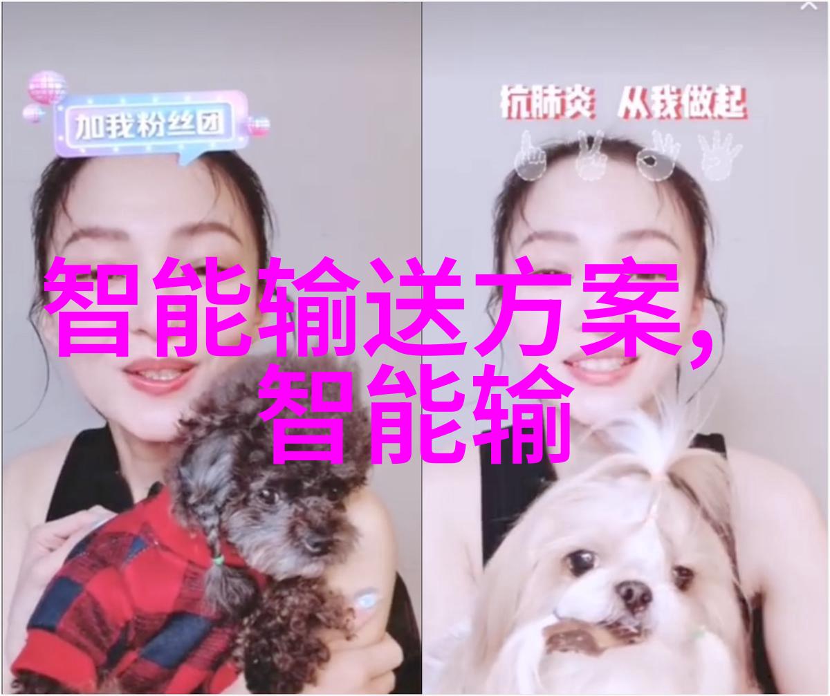 数据驱动的决策支持系统如何提升运输效率