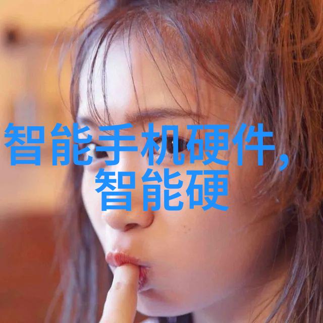 燃气蒸汽发生器原理与应用概述