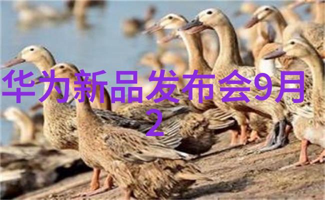 追求极致细腻大规模生产中的挑战与解决方案基于高达500目的后续改进研究